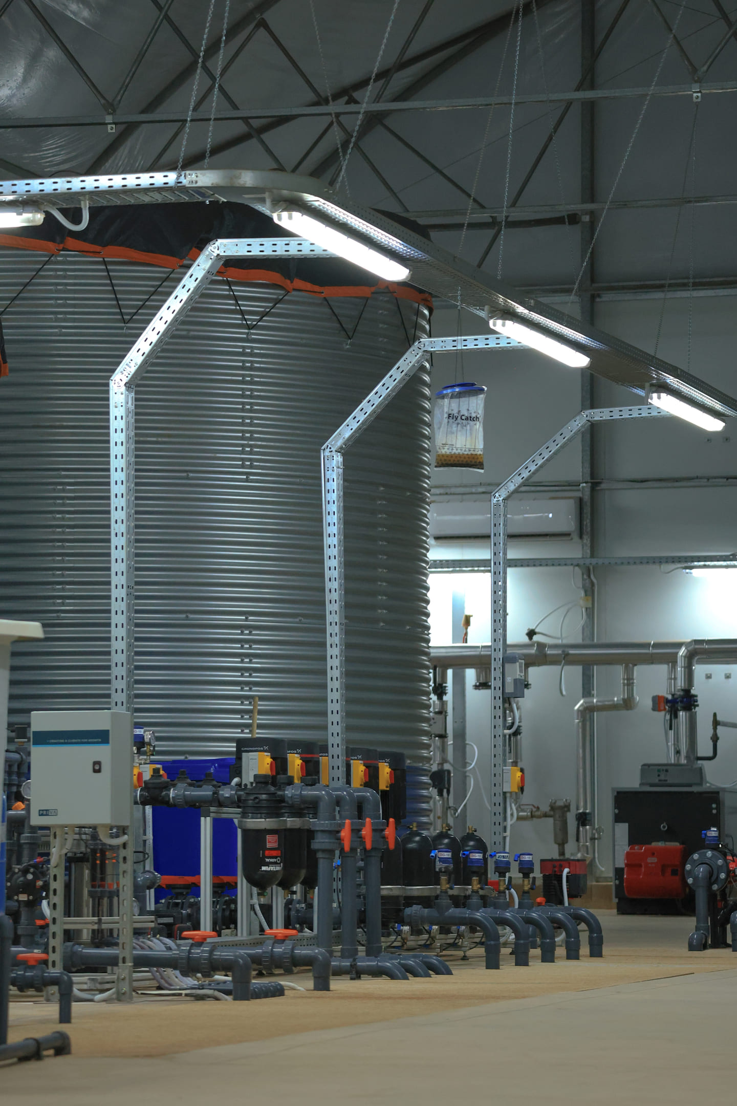 Growing and production